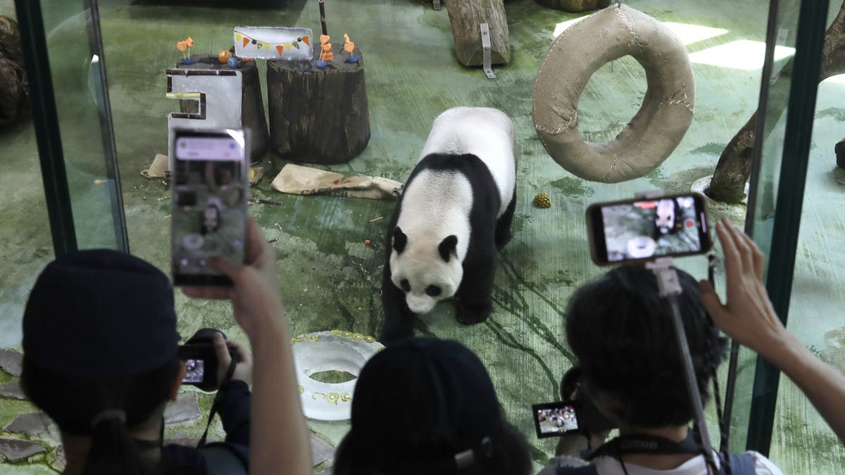 PANDA BIRTHDAY