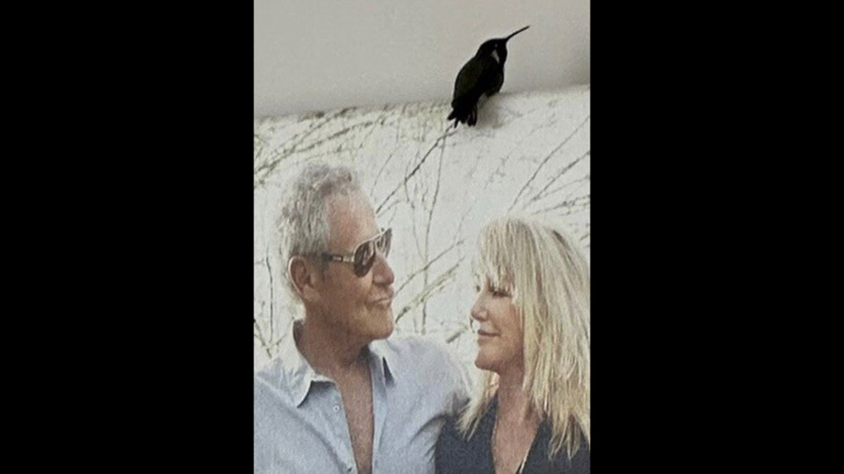 A hummingbird sitting on top of a photo of Suzanne Somers and Alan Hamel.