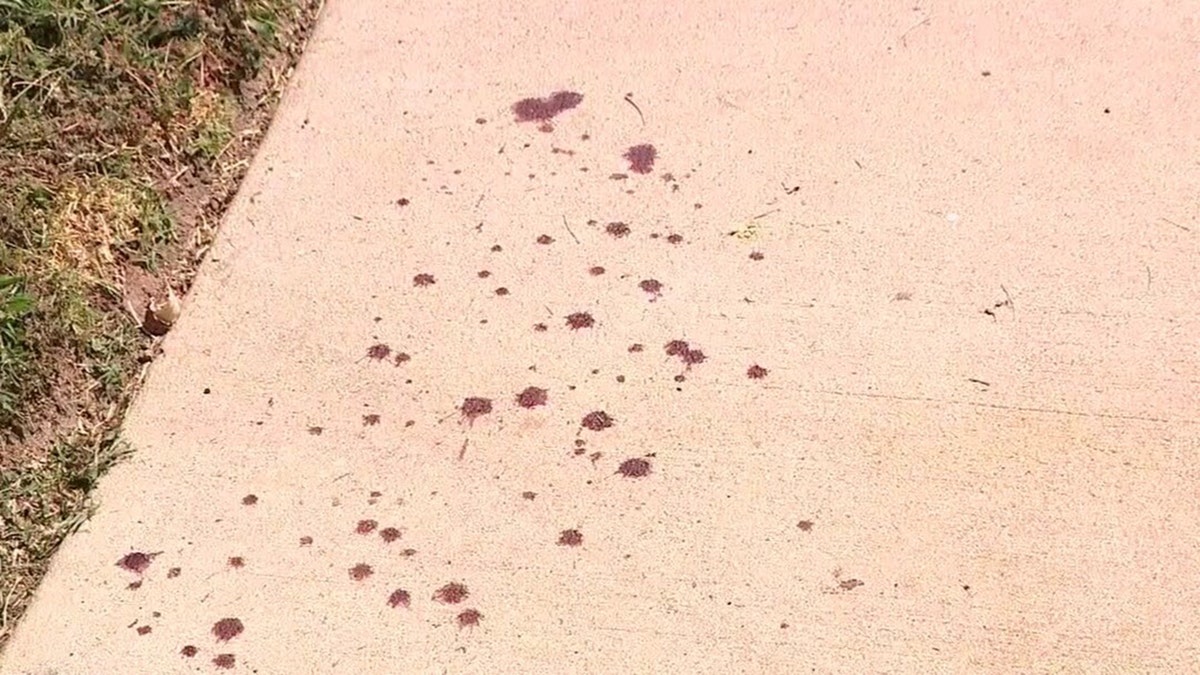 trail of blood