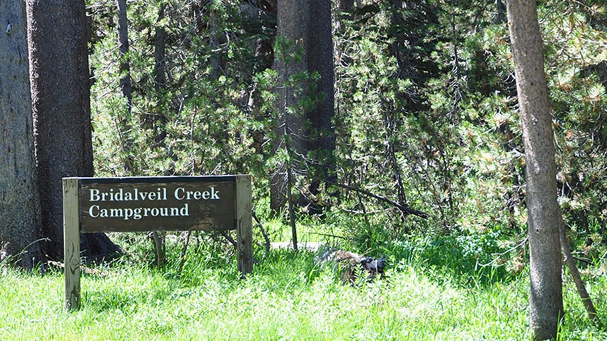 Bridalveil Creek sign