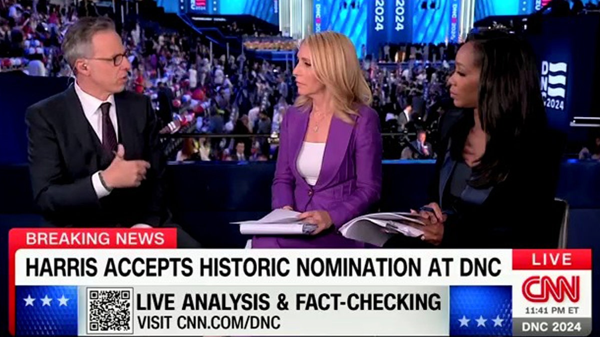 Panel CNN