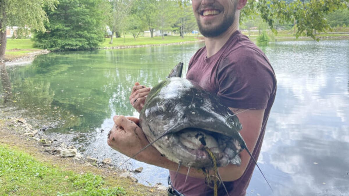 Rekor ikan lele di Virginia Barat