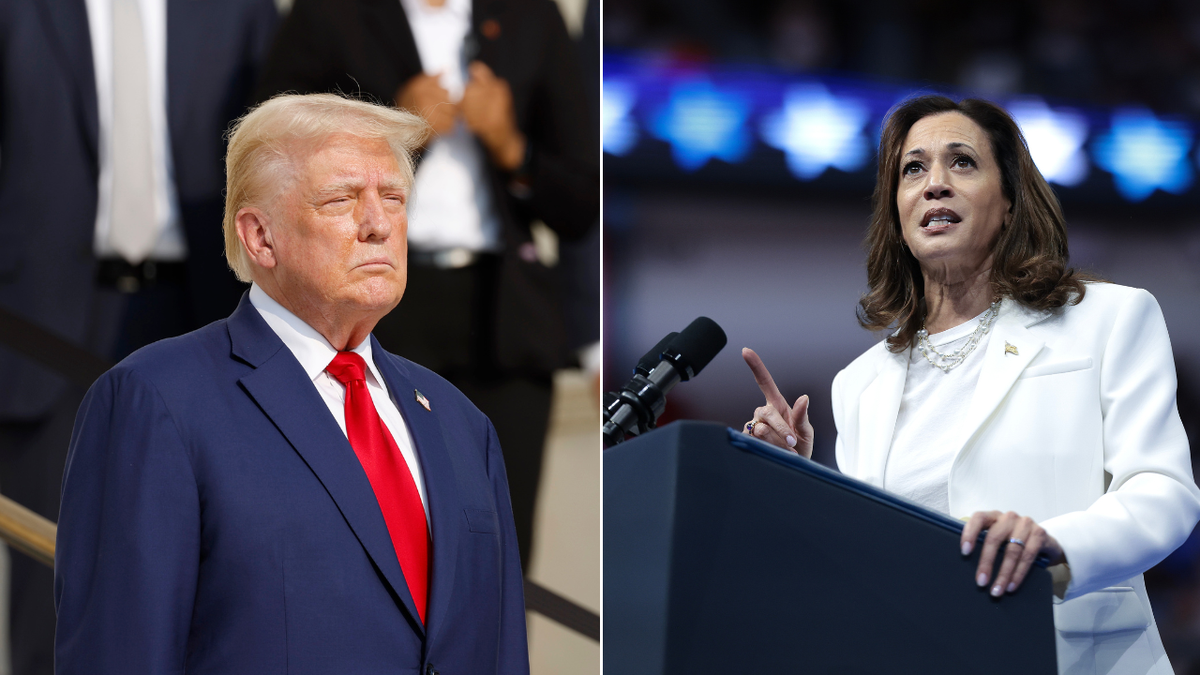 Trump-Harris split image