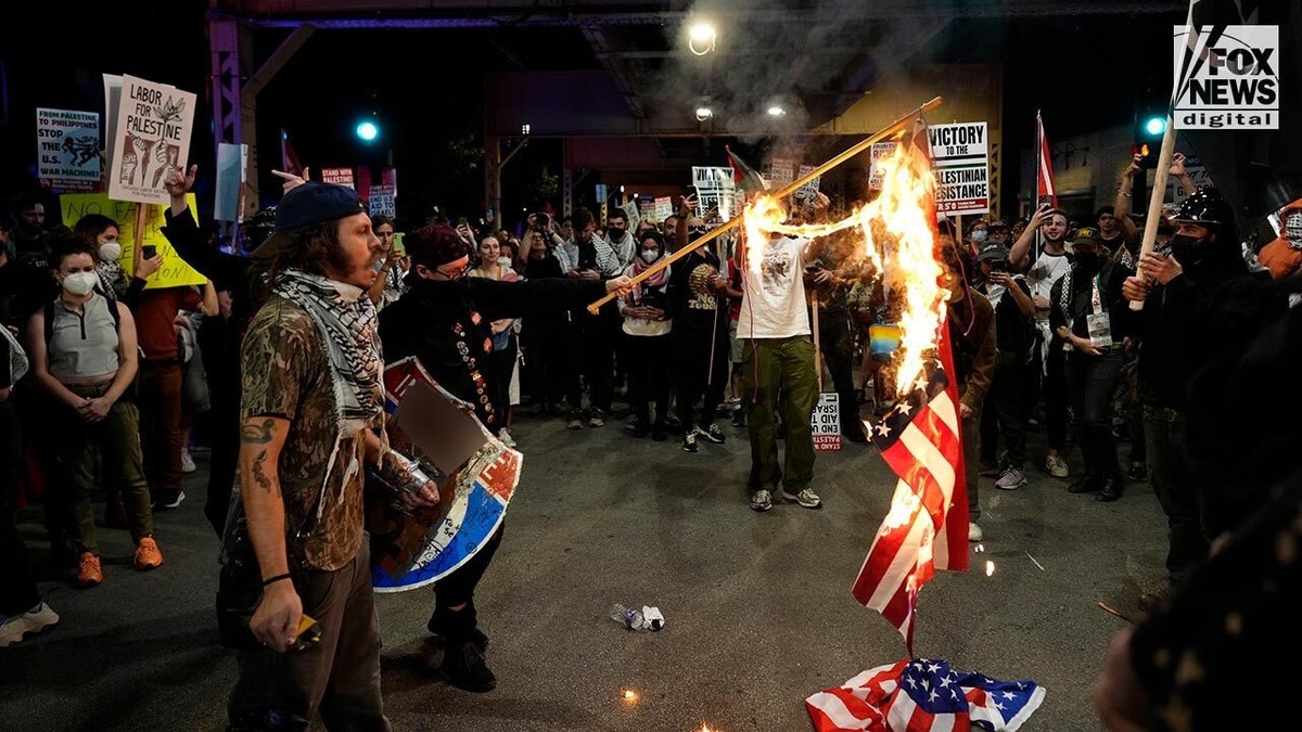 Pro-Hamas demonstrators stand around cheering as the American flag burns on the ground