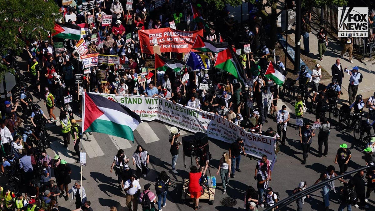 Para pengunjuk rasa di Chicago pada pawai March on the DNC