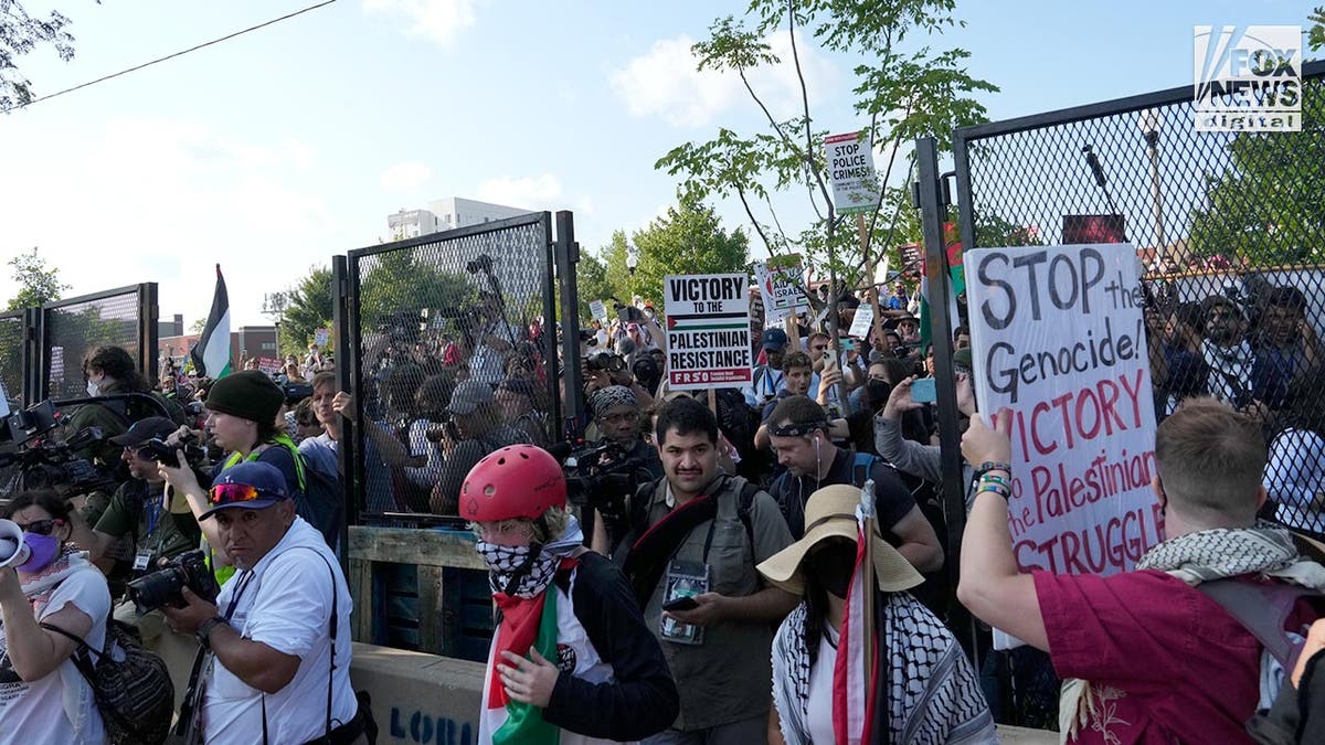 Protestors clash with police in Chicago outside of the DNC