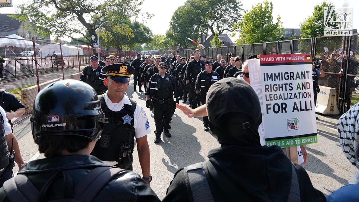 Protestors clash with police in Chicago outside of the DNC