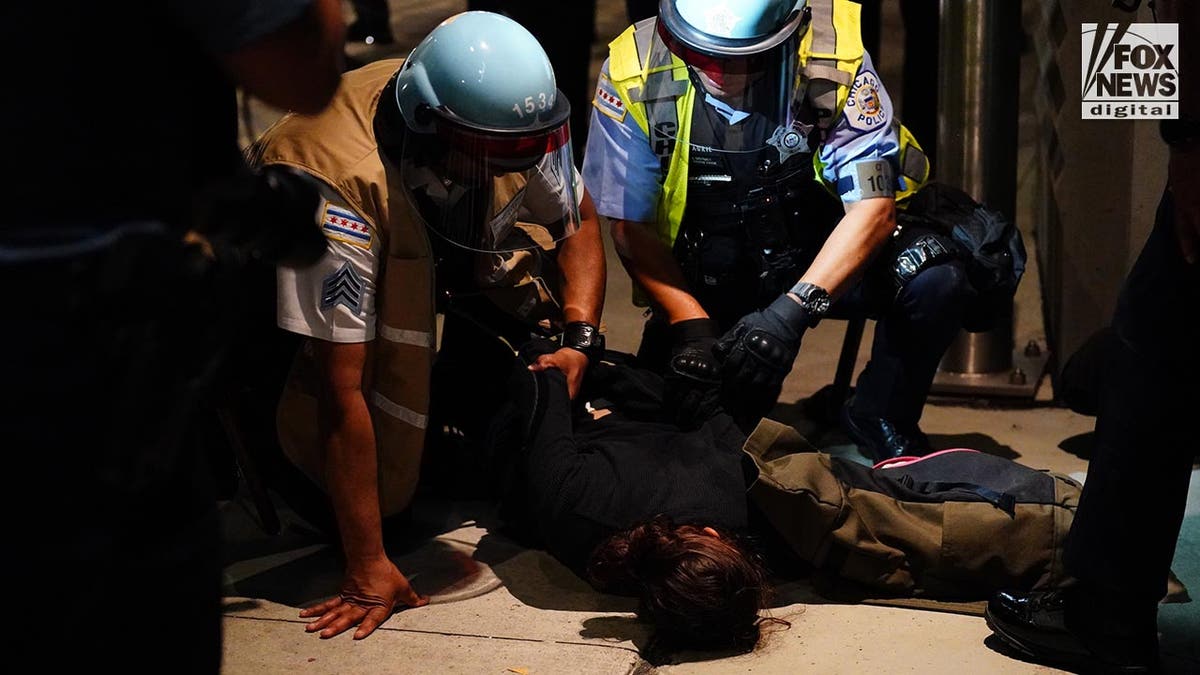 Police clash with pro-Hamas demonstrators in Chicago