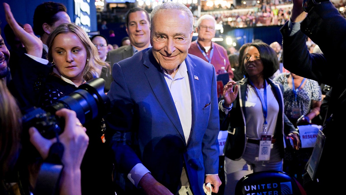 Chuck Schumer during the Democratic National Convention