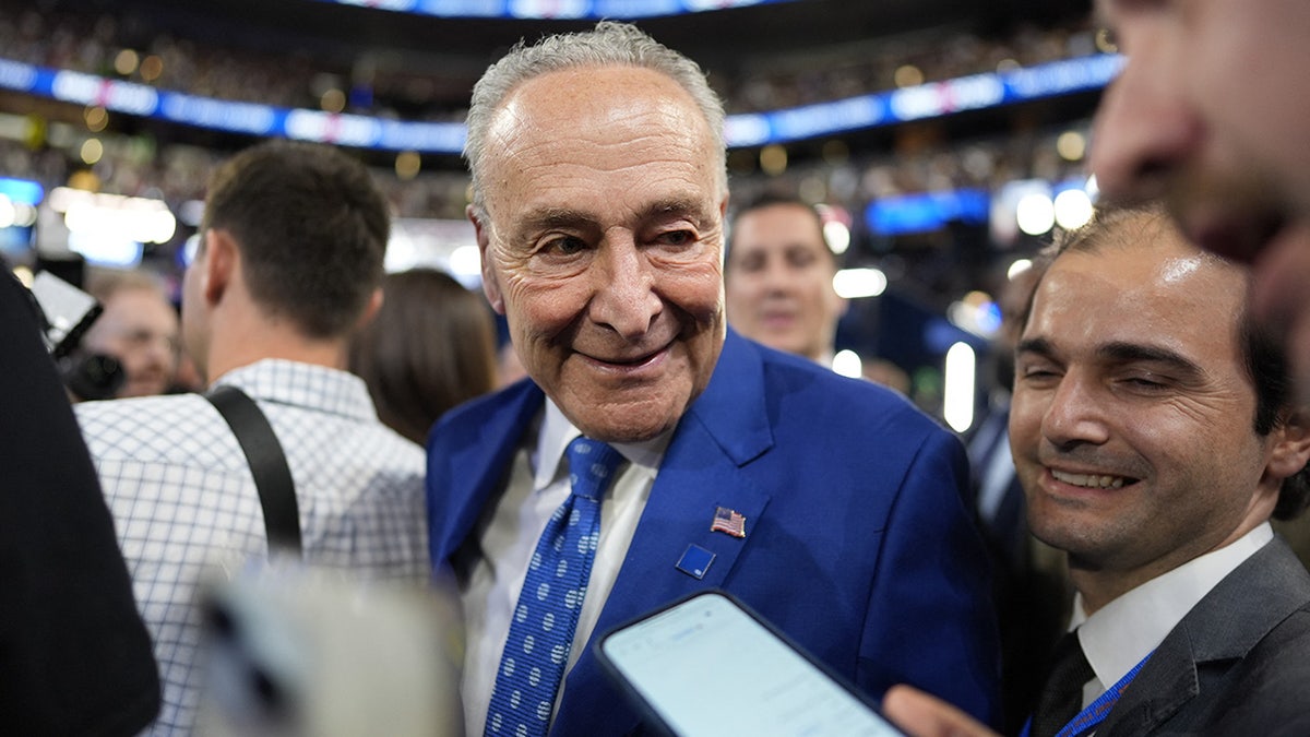 Chuck Schumer observa no United Center, no segundo dia da Convenção Nacional Democrata