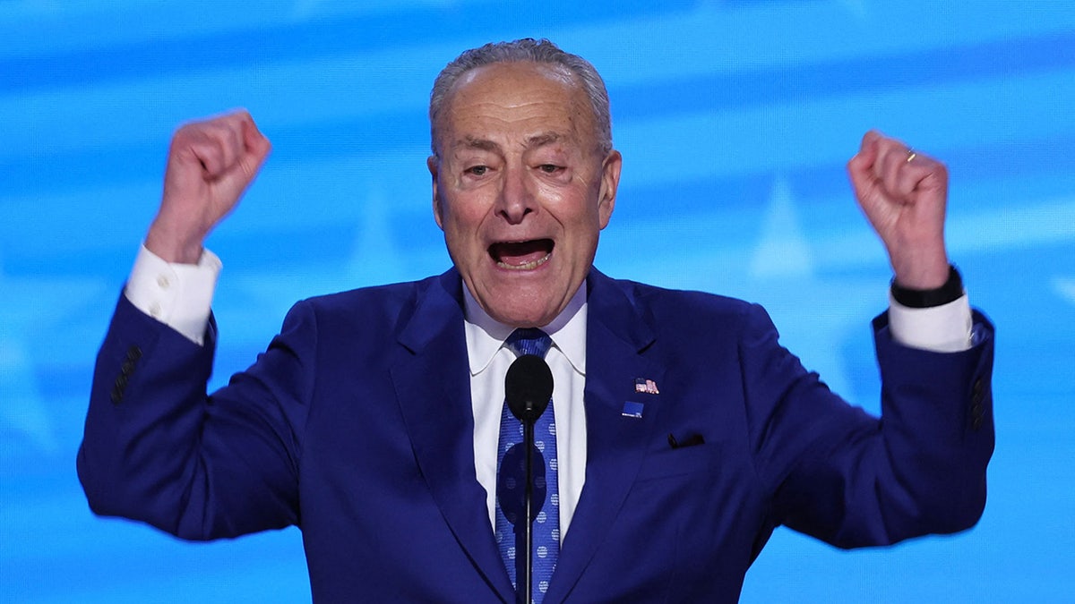 Chuck Schumer gestures on stage on the second day of the Democratic National Convention