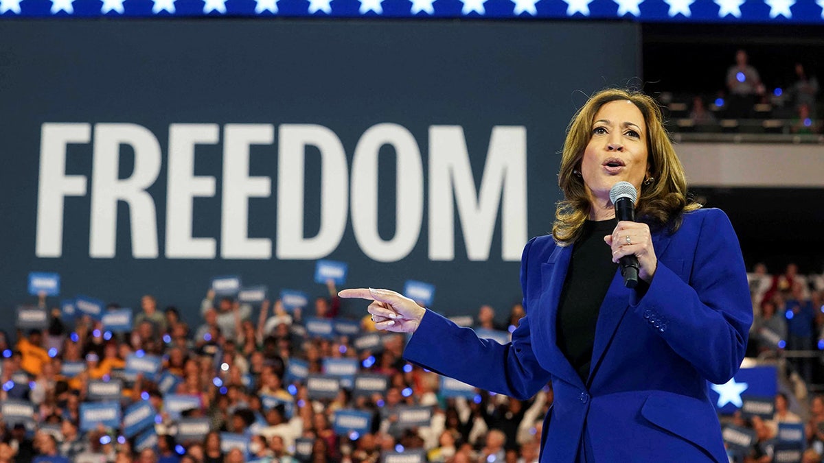 US Vice President and Democratic presidential candidate Kamala Harris speaks at a campaign rally in Milwaukee