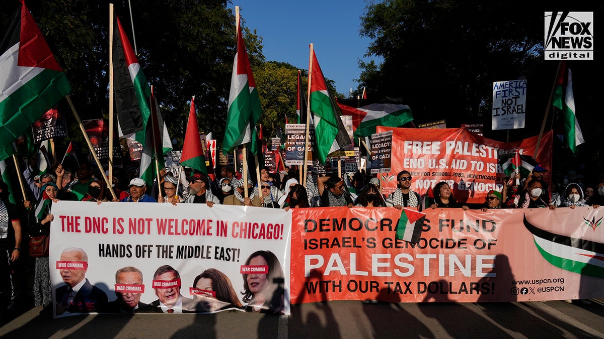 Demonstrators take part in the Chicago Coalition for Justice in the Palestine March in Chicago