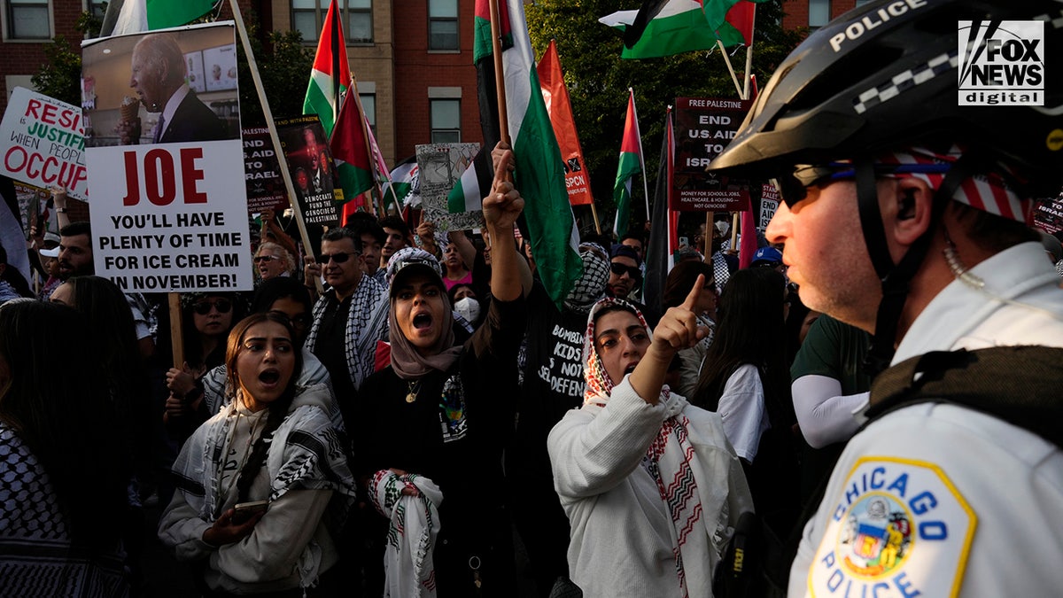 Protesters take part in the Chicago Coalition for Justice in Palestine March in Chicago