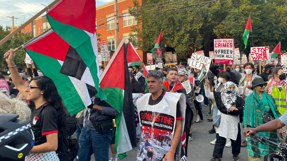 DNC protest against Israel