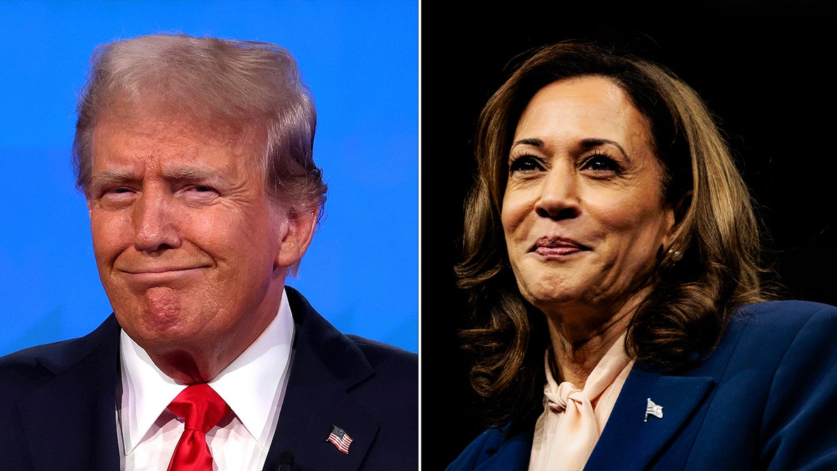 perpecahan kiri-kanan: Donald Trump dan Kamala Harris