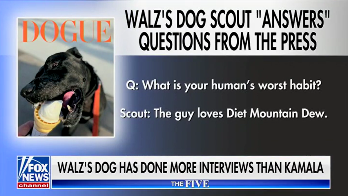 Tim Walz’s dog has done more interviews than VP Harris since she became ...