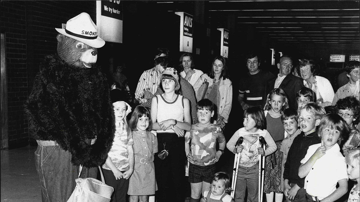 El Oso Smokey llega a Sydney en 1977.