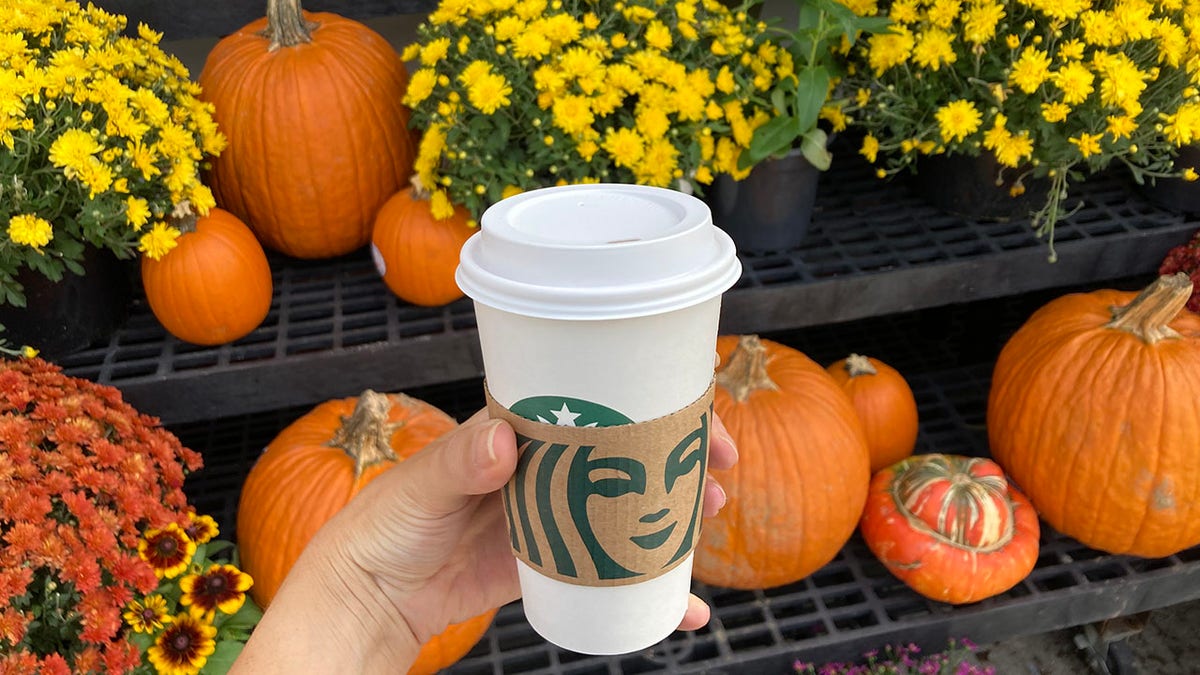 Una mano blanca sosteniendo una taza de Starbucks delante de calabazas.