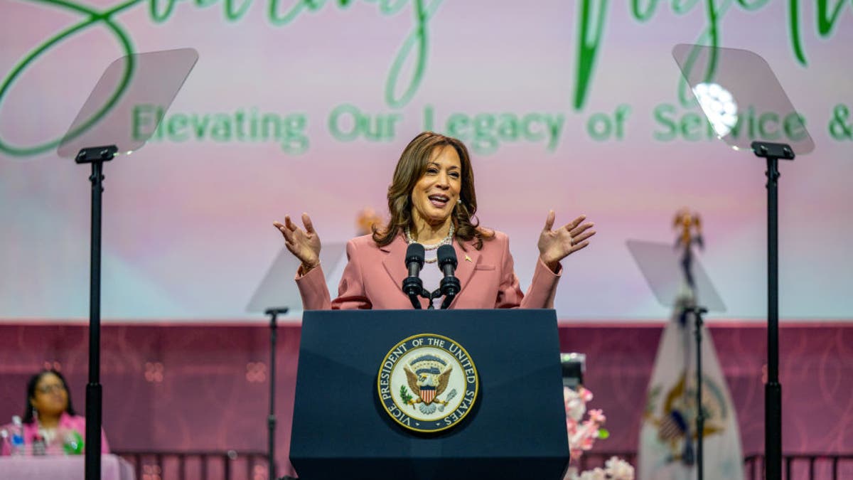 Vice President Kamala Harris speaks to Alpha Kappa Alpha Sorority members at the Kay Bailey Hutchison Convention Center on July 10, 2024, in Dallas, Texas.