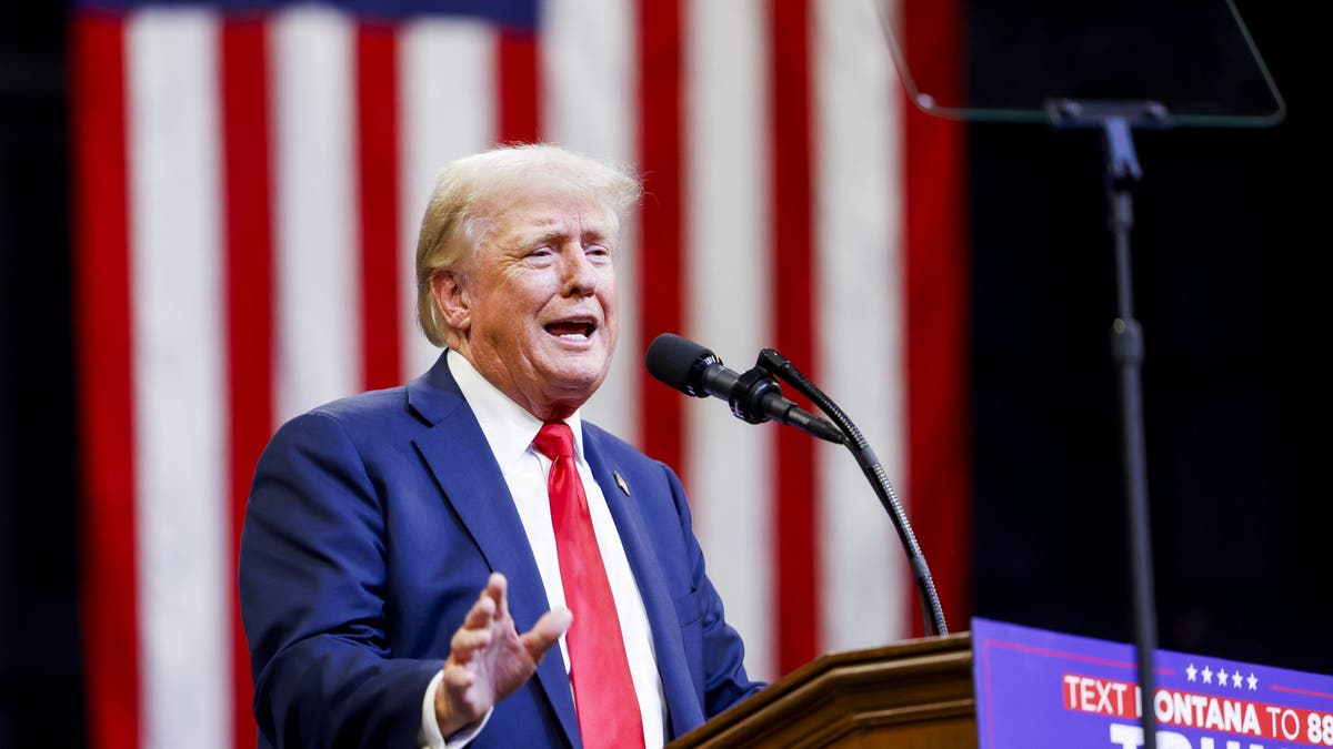 Donald Trump speaks at the podium