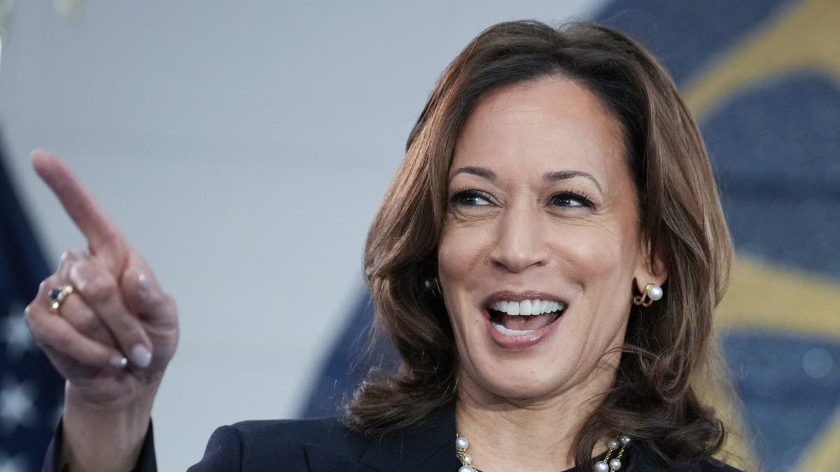 Democratic presidential candidate Vice President Kamala Harris speaks at a campaign rally at United Auto Workers Local 900 on August 8, 2024, in Wayne, Michigan. 