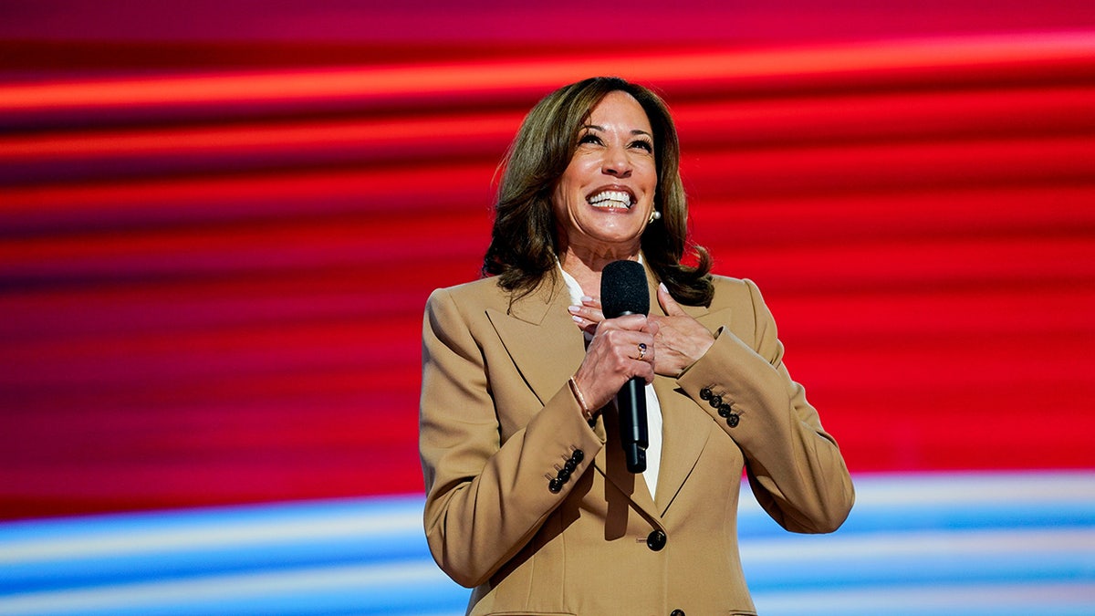 Kamala Harris speaks during the Democratic National Convention