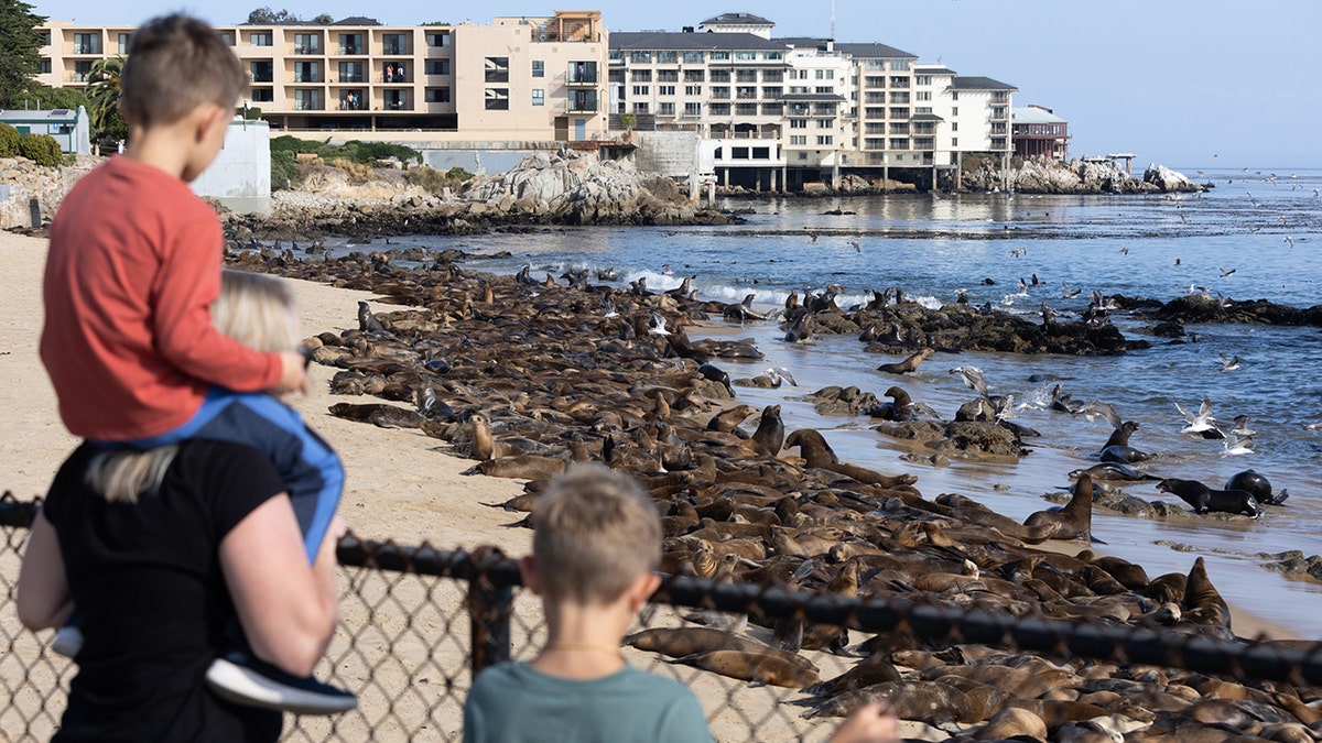 Los peatones miran a la playa de San Carlos