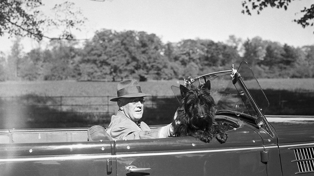 FDR con perro fala en el asiento del copiloto