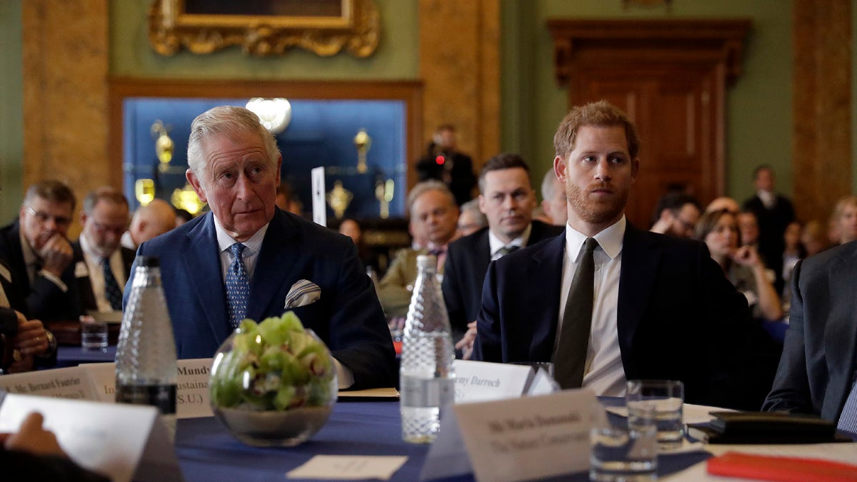 King Charles and Prince Harry looking series in dark blue suits and ties at a conference table.