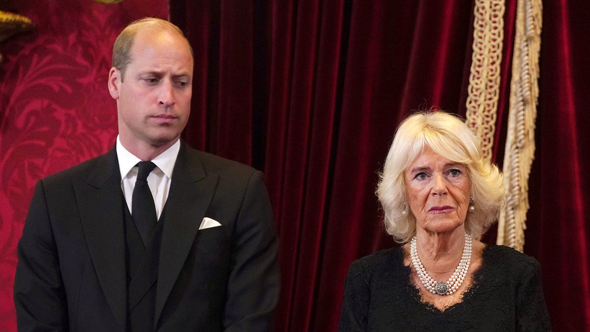 Prince William looking down sternly at Camilla as she looks concerned.