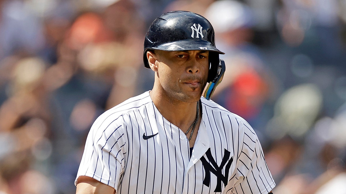 Giancarlo Stanton looks on