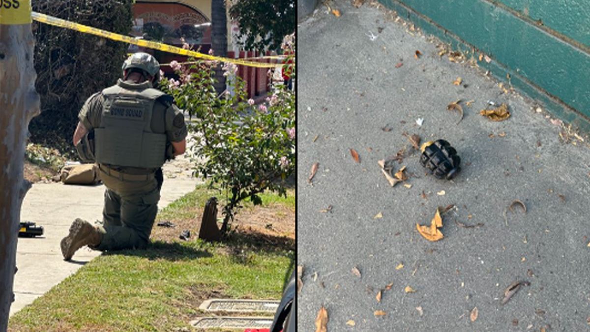 Grenades found in bushes