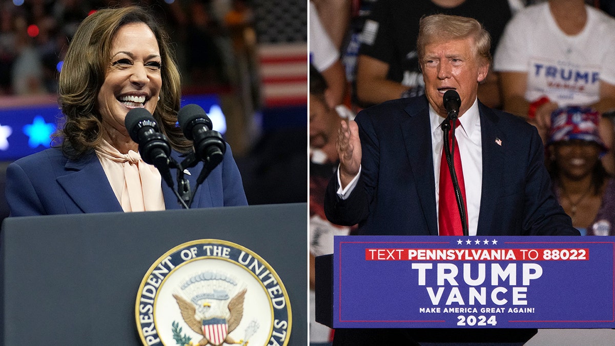 La vicepresidenta Kamala Harris se enfrenta al ex presidente republicano Donald Trump por la presidencia en 2024.