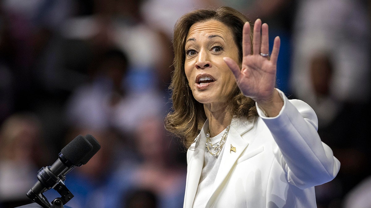 closeup shot of Harris at rally