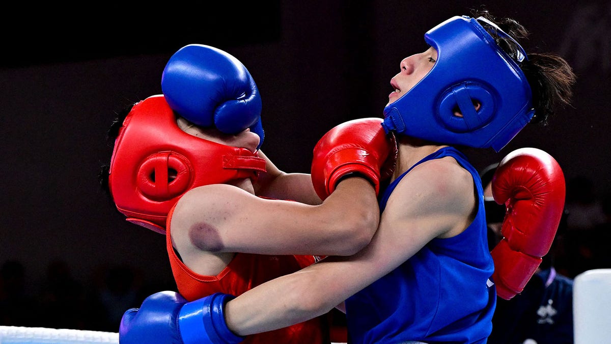 Lin Yu Ting against an Indian fighter