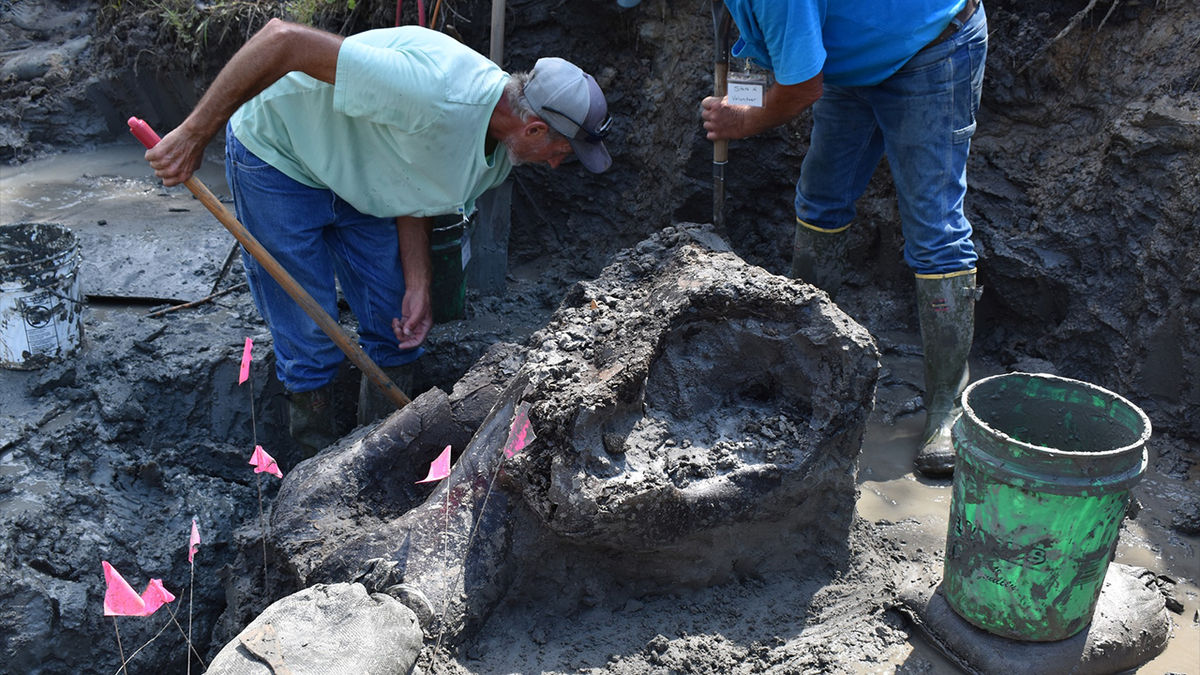 Unos obreros desentierran un mastodonte en Iowa