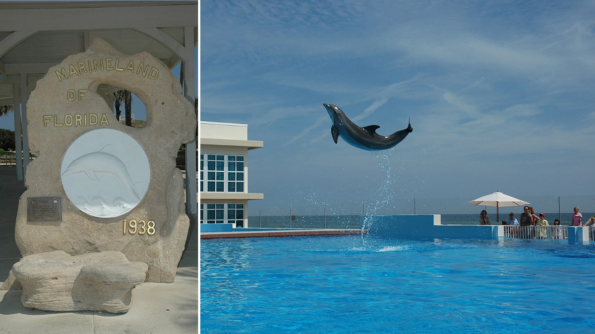 Marineland of Florida has been open for business since 1938.