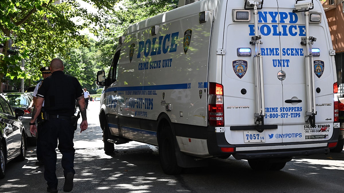 NYC transgression  country   van