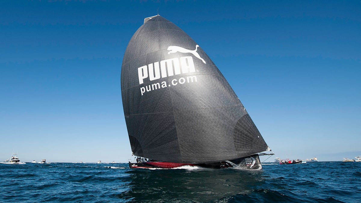 Barco de vela puma