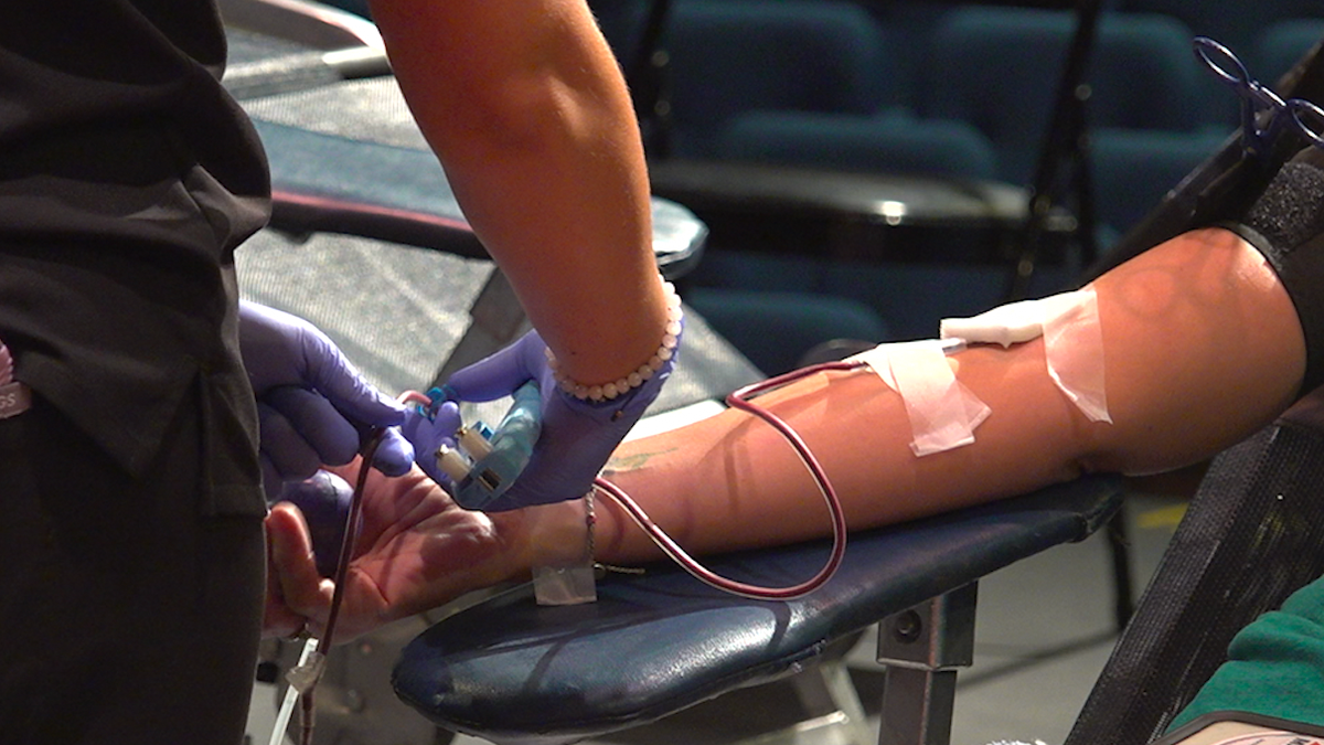A donor with a needle in her arm as blood is collected