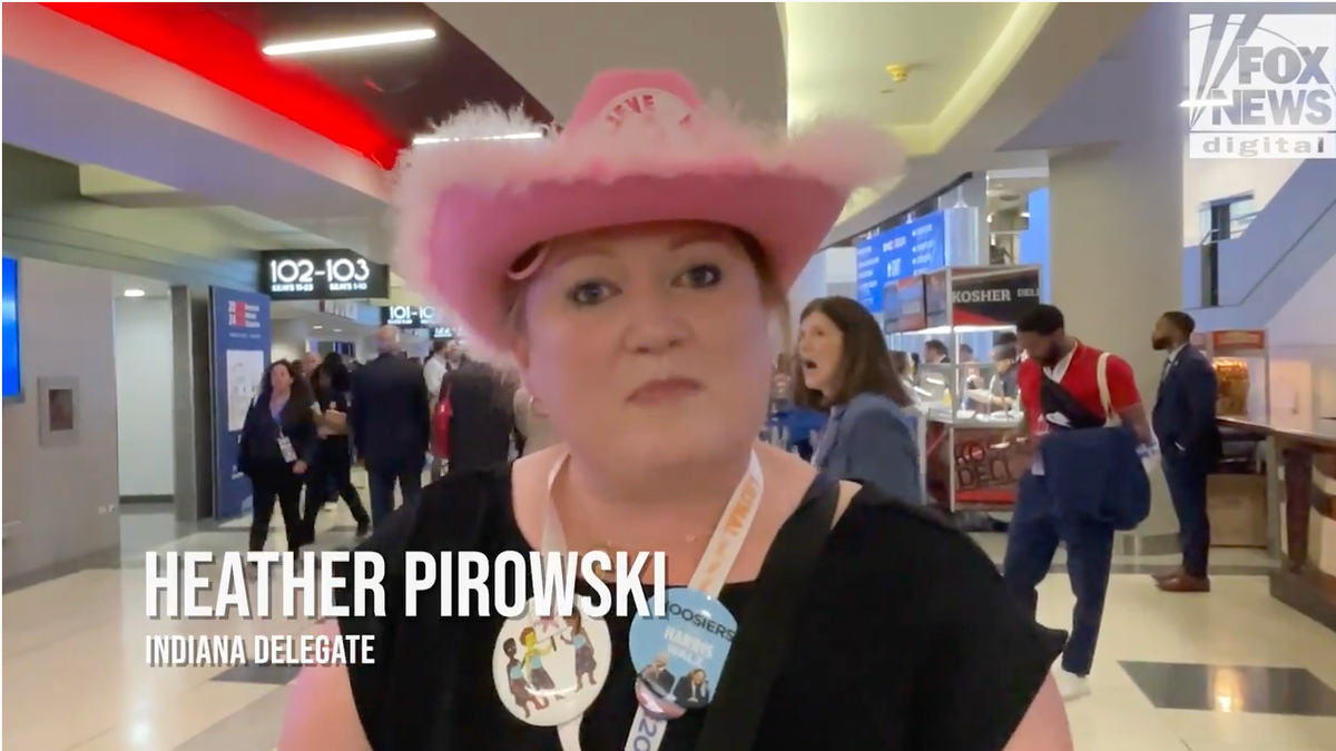 delegate at dnc