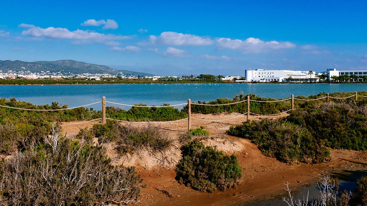 PARQUE NATURAL DE SES SALINES, IBIZA, ISLA BALEAR, ESPAÑA