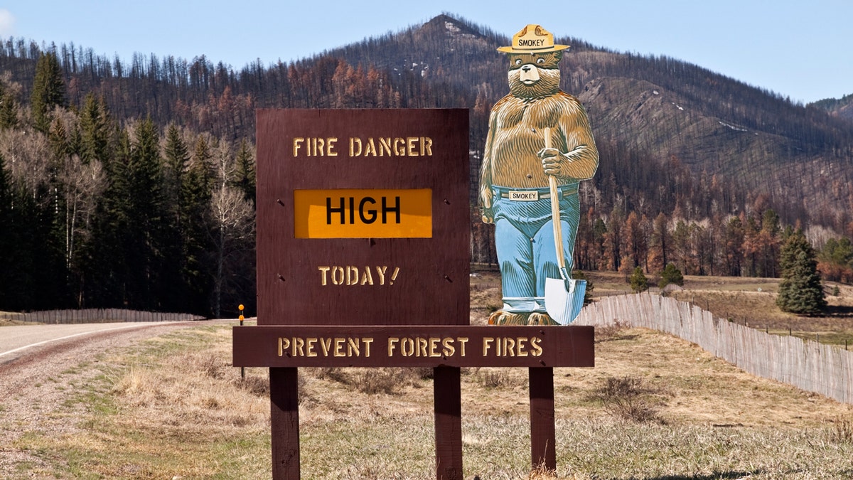 Smokey Bear is pictured next to a forest fire prevention sign warning tourists and children about imminent high fire danger.