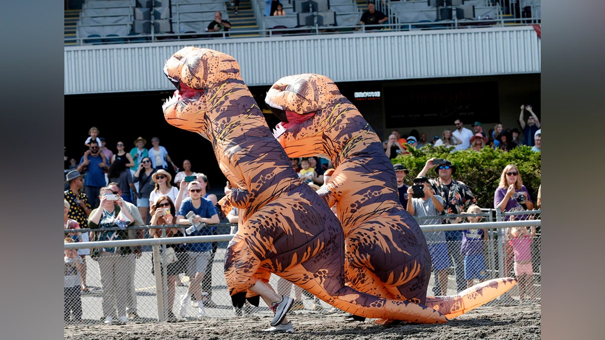 Two T-Rex racers compete against each other in front of spectators at the T-Rex World Championship.