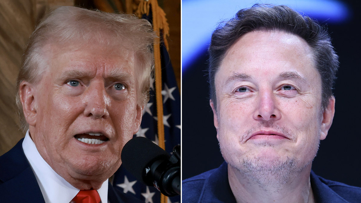 Donald Trump and Elon Musk