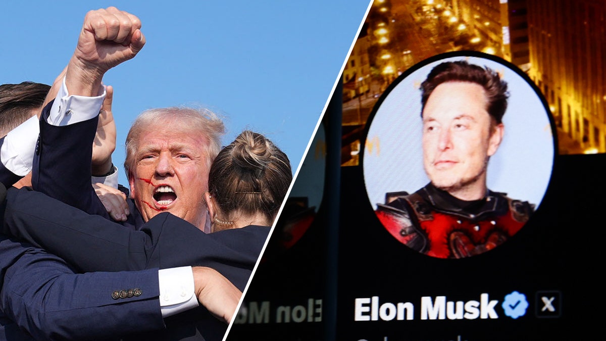 A split image of Trump raising a fist after the July 13 assassination attempt and Elon Musk's twitter icon