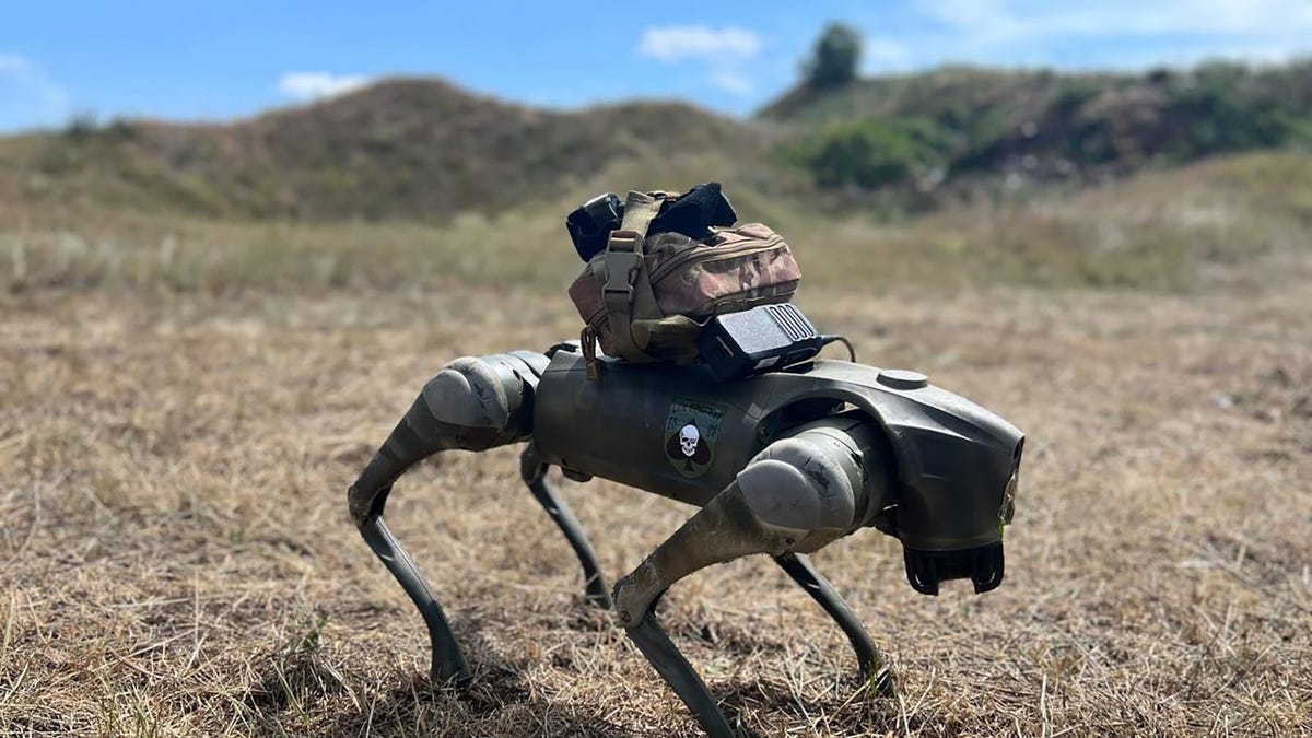 Perro robot del Reino Unido