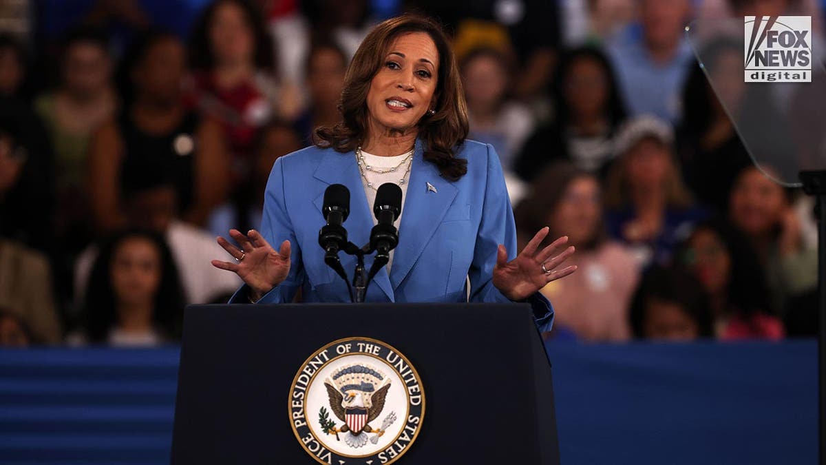 Vice President Kamala Harris in a blue suit stands at the podium