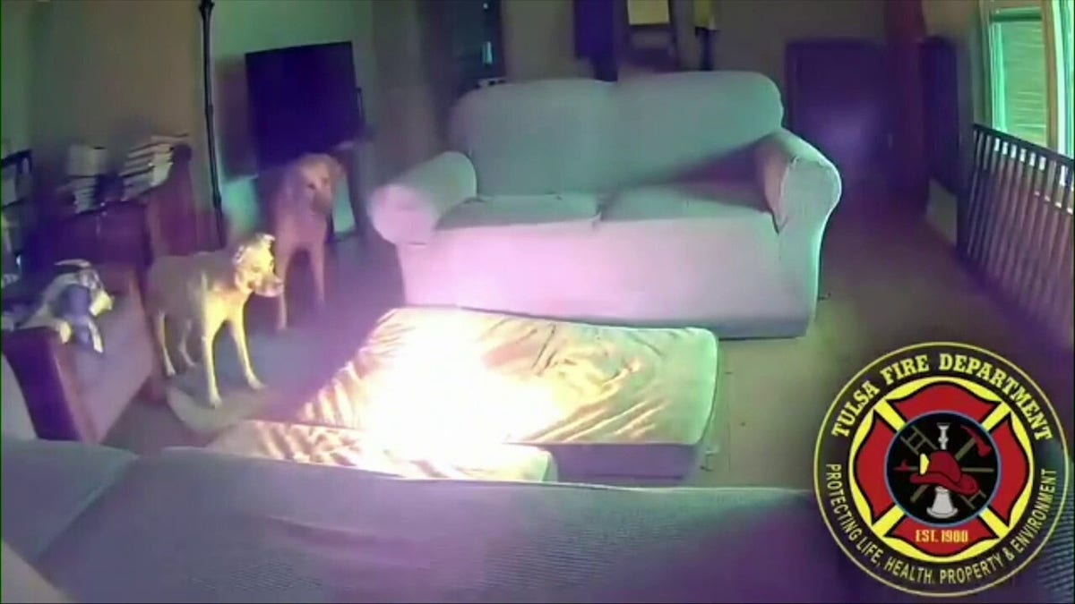 Dogs watch fire caused by lithium-ion battery